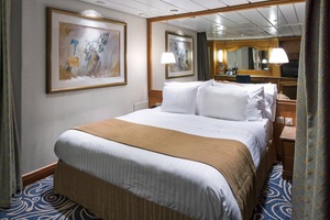 Owner's Suite - 1 Bedroom